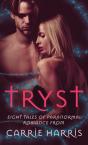 Tryst - Preview