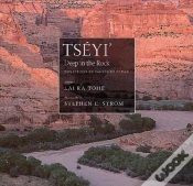 Capa do artigo Tseyi