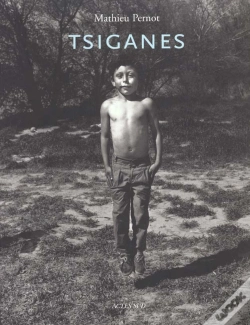 Capa do artigo Tsiganes 1995-1997