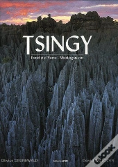 Tsingy ; Forêt De Pierre ; Madagascar