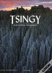 Capa do artigo Tsingy ; Forêt De Pierre ; Madagascar