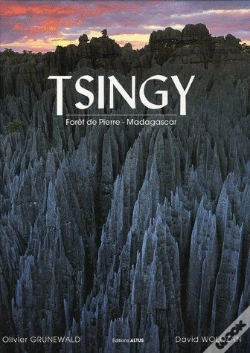 Capa do artigo Tsingy ; Forêt De Pierre ; Madagascar