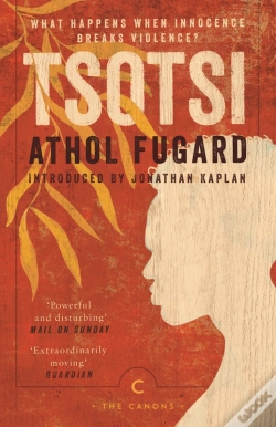 Capa do artigo Tsotsi