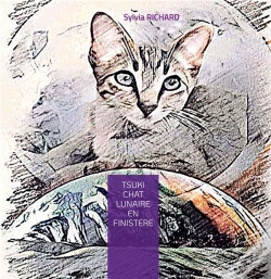 Capa do artigo Tsuki Chat Lunaire En Finistere