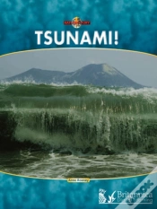 Capa do artigo Tsunami!