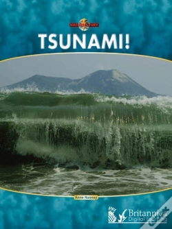 Capa do artigo Tsunami!