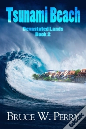 Capa do artigo Tsunami Beach