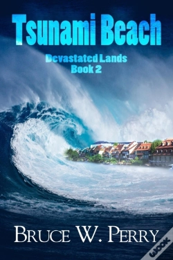 Capa do artigo Tsunami Beach