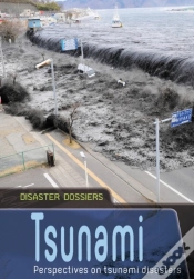 Capa do artigo Tsunami