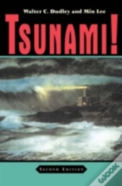 Capa do artigo Tsunami!