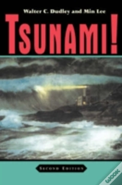 Capa do artigo Tsunami!