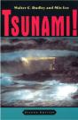 Tsunami! - Preview