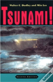 Capa do artigo Tsunami!