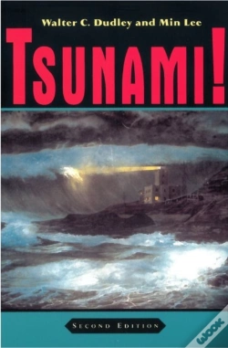 Capa do artigo Tsunami!
