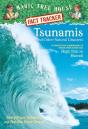 Tsunamis And Other Natural Disasters - Preview