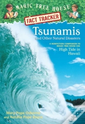 Capa do artigo Tsunamis And Other Natural Disasters