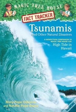 Capa do artigo Tsunamis And Other Natural Disasters