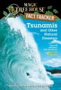 Tsunamis And Other Natural Disasters - Preview