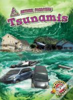 Tsunamis