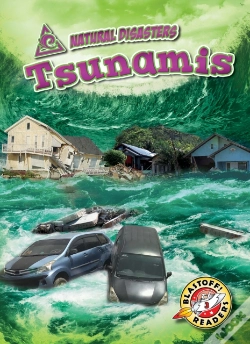 Capa do artigo Tsunamis