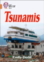 Tsunamis - Preview