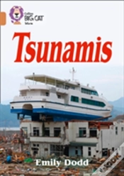 Capa do artigo Tsunamis