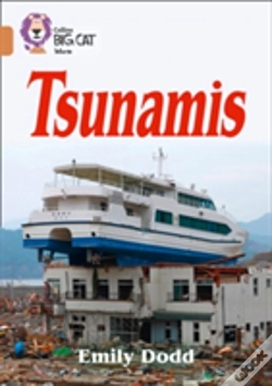 Capa do artigo Tsunamis