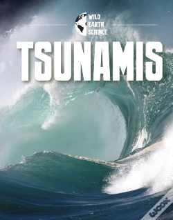 Capa do artigo Tsunamis