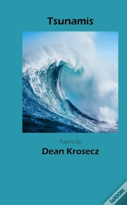 Capa do artigo Tsunamis