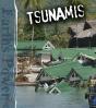 Tsunamis - Preview