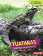 Tuataras - Preview