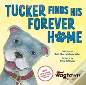 Capa do artigo Tucker Finds His Forever Home