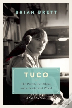 Capa do artigo Tuco And The Scattershot World
