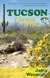 Capa do artigo Tucson
