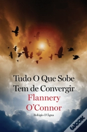 Capa do artigo Tudo o que Sobe Tem de Convergir