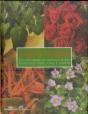 Tudo Verde - Preview