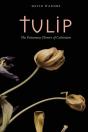 Tulip - Preview