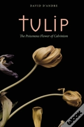 Tulip