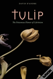 Capa do artigo Tulip