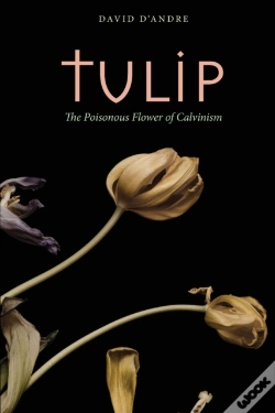 Capa do artigo Tulip