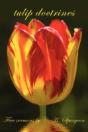 Tulip Doctrines - Preview