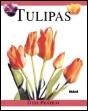 Tulipas - Preview