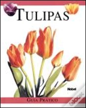 Capa do artigo Tulipas