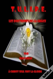 Capa do artigo T.U.L.I.P.E. - Les Doctrines De La Grace