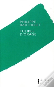 Capa do artigo Tulipes D