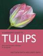 Tulips - Preview