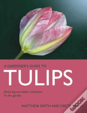 Capa do artigo Tulips