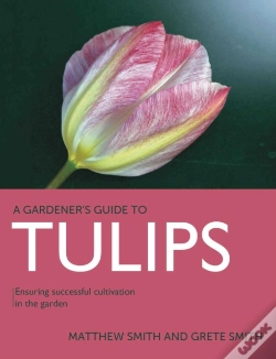 Capa do artigo Tulips