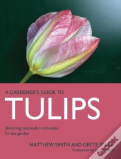 Capa do artigo Tulips
