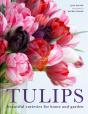 Tulips - Preview